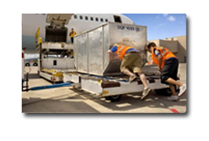 Offices around the Kingdom.